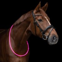 LED Halsriemen für Pferde